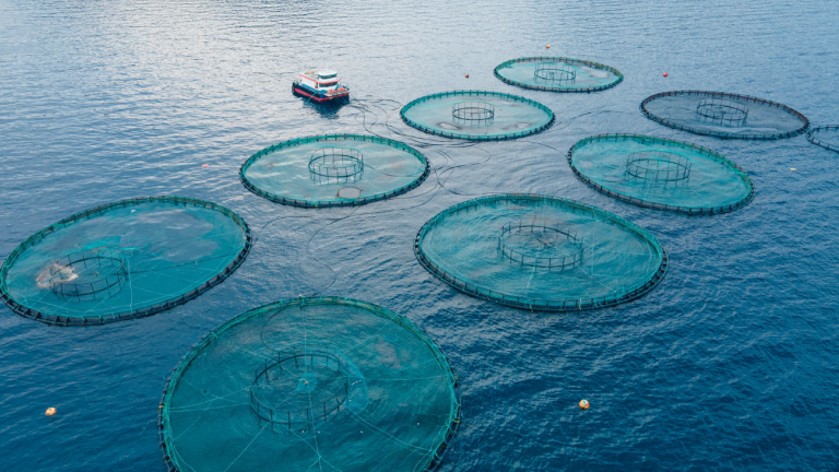 Aquaculture in spain in the middle of the sea